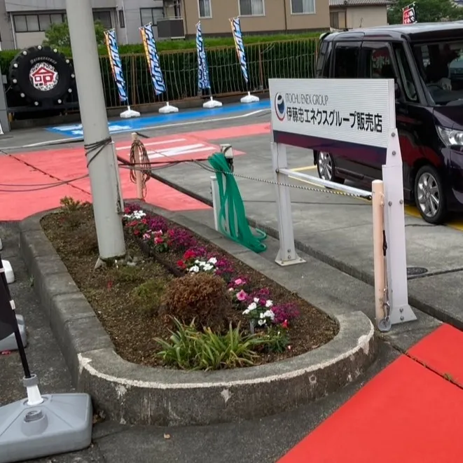 由比の松下です🌿✨ 先日、可愛い苗木を植えました！⛏️🌱 雨...