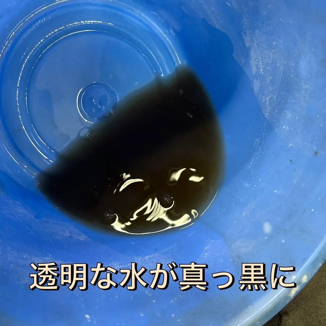 こんにちは！清水の杉山です🚗💨 今日も皆さんに朗報をお届けし...