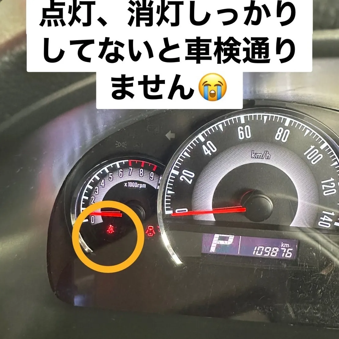 こんにちは！清水の杉山です🌟