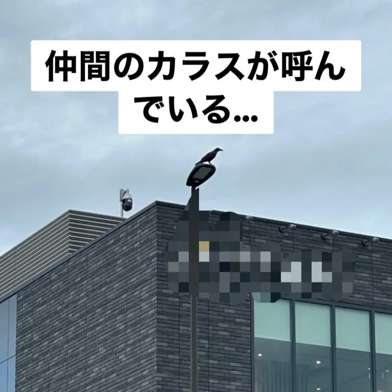 清水の杉山です😄。