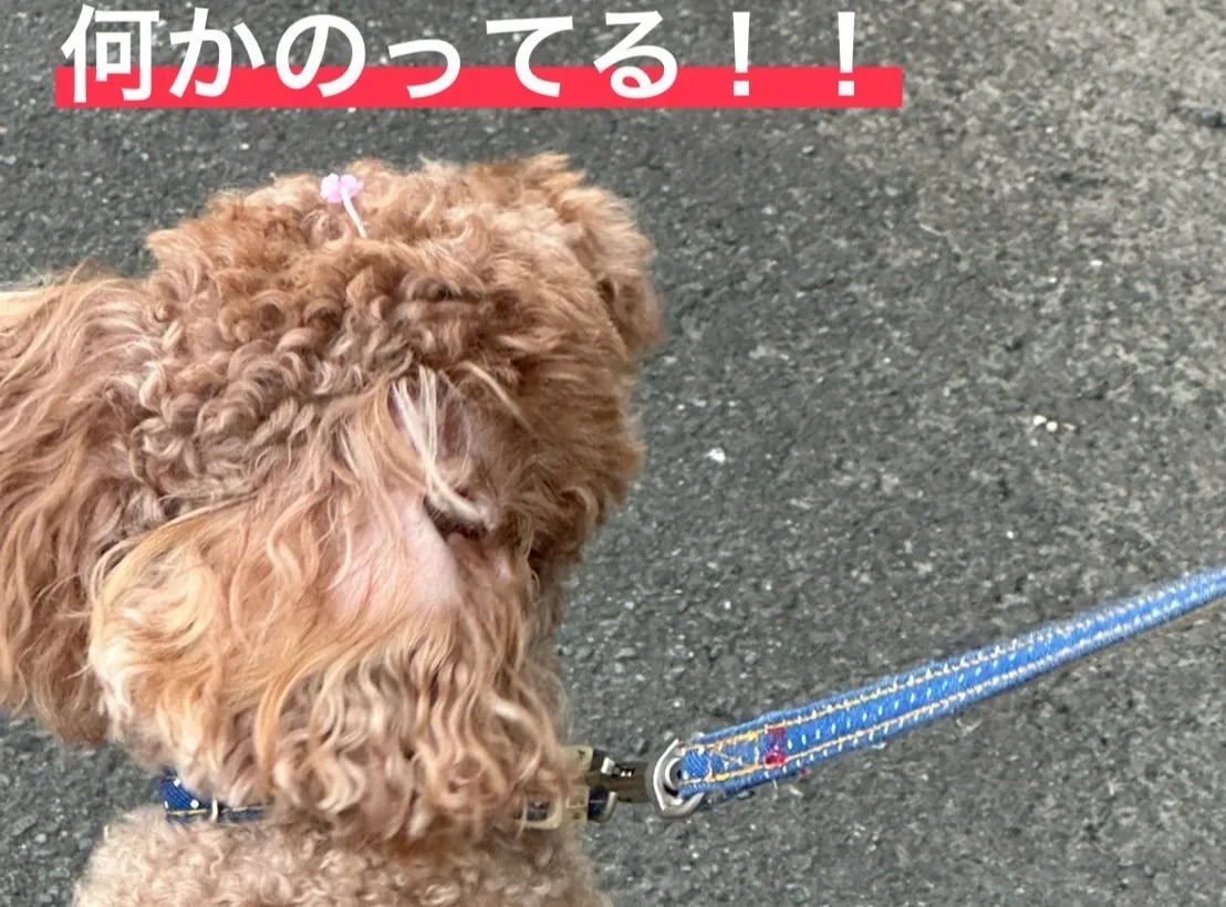 こんにちは！清水の杉山です😊。
