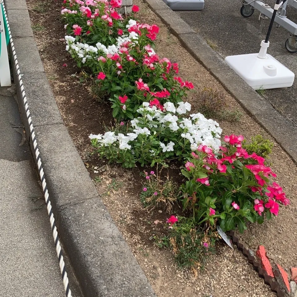 こんにちは、由比の松下ガソリンスタンドです⛽️✨！先月5月1...