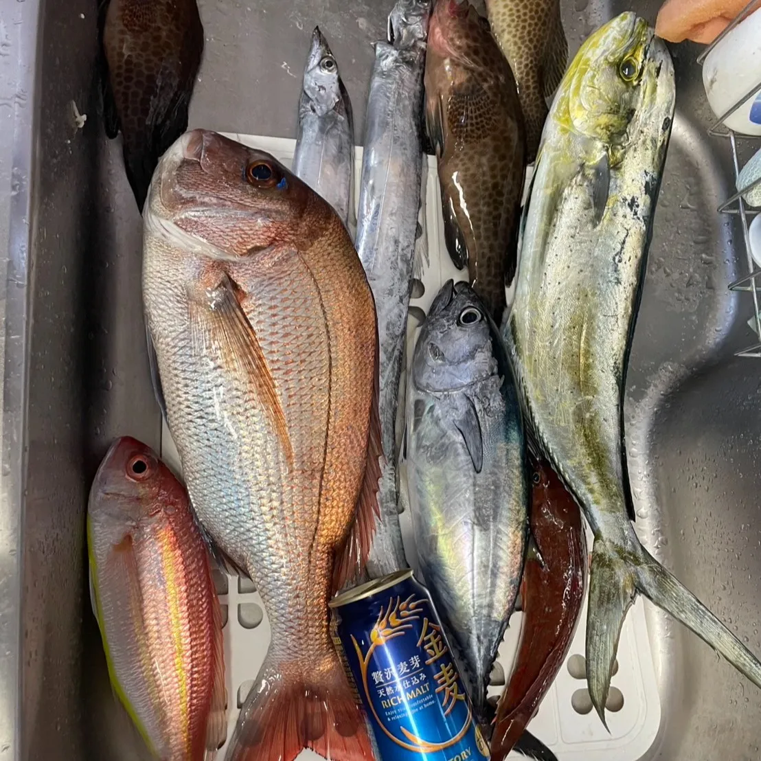 下川原の三ツ井です。