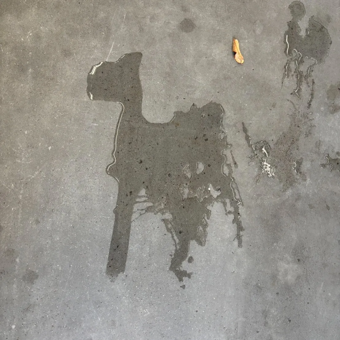 こんにちは、こちら登呂店です⛽️✨ 今日も一日お疲れ様です！...