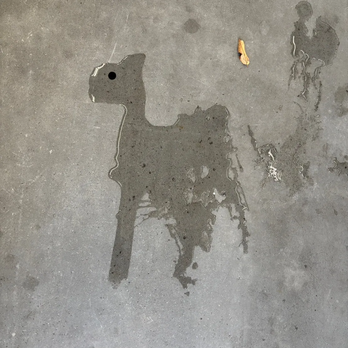 こんにちは、こちら登呂店です⛽️✨ 今日も一日お疲れ様です！...