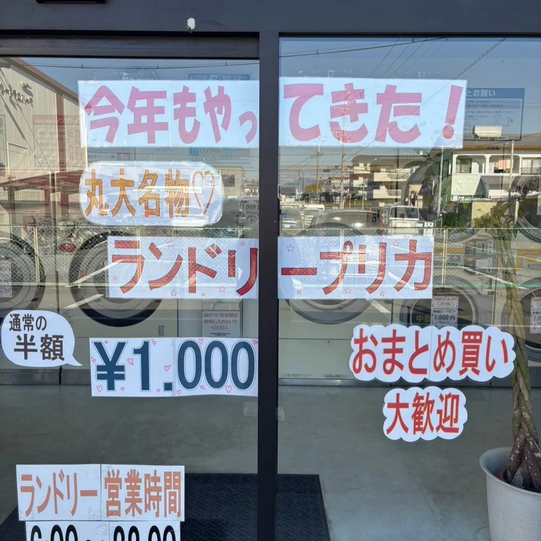 こんにちは、皆さん!登呂です😊。