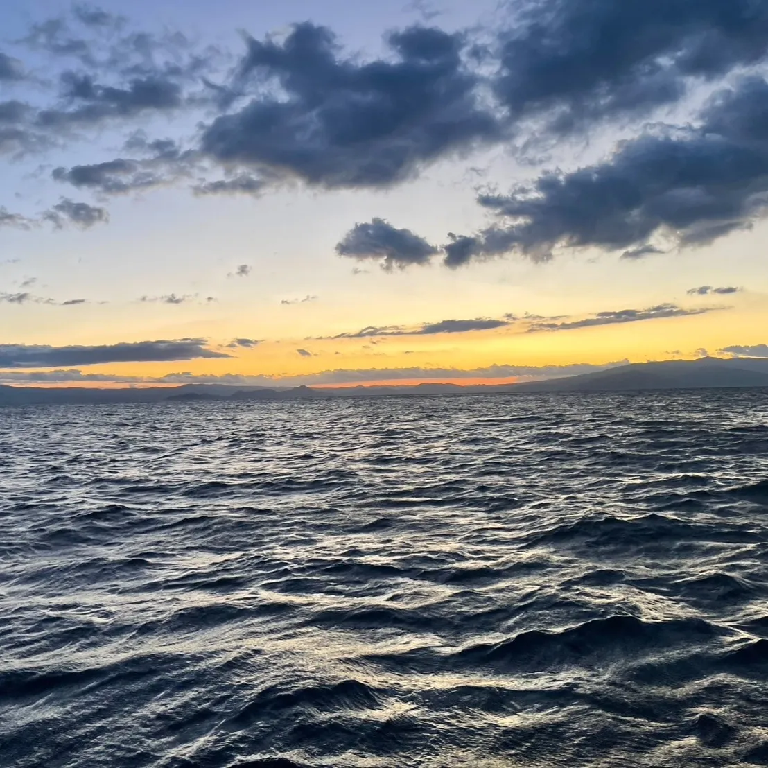 下川原の三ツ井です🎣 先日のお休み、寒さにも負けずお正月用の...