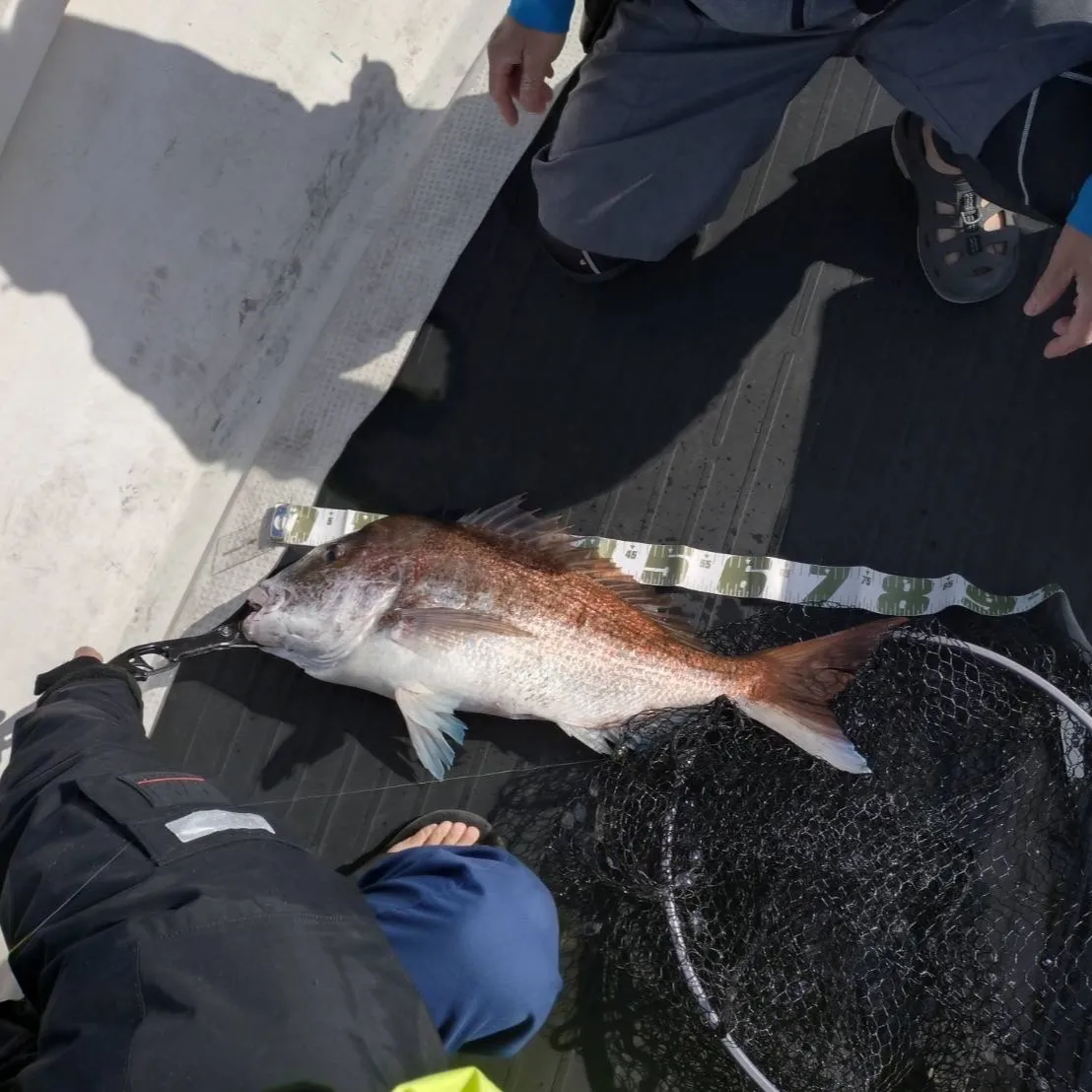 下川原の三ツ井です！この前、春の海で釣りに行ってきたんだけど...