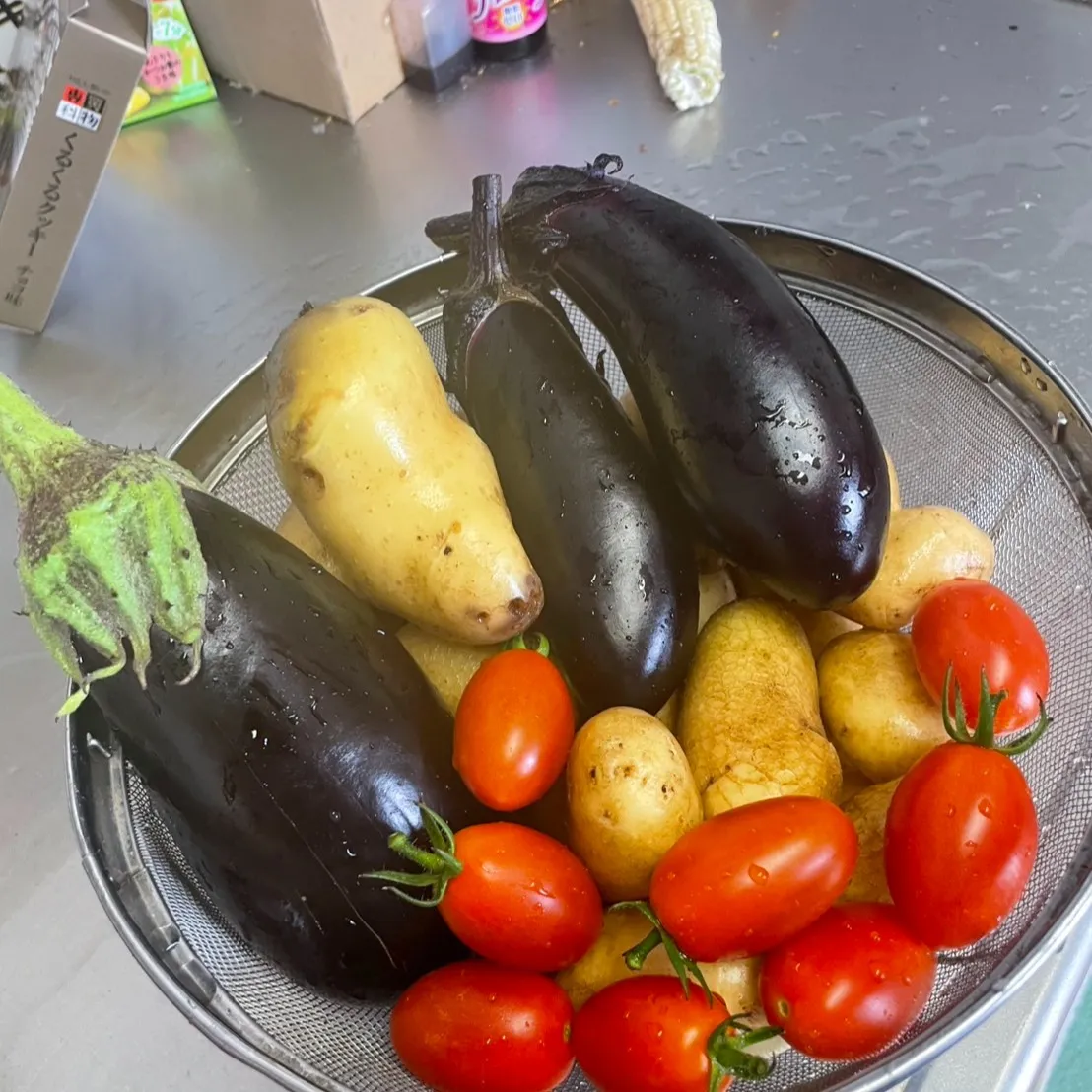 🌽ワクワクの夏到来🍅