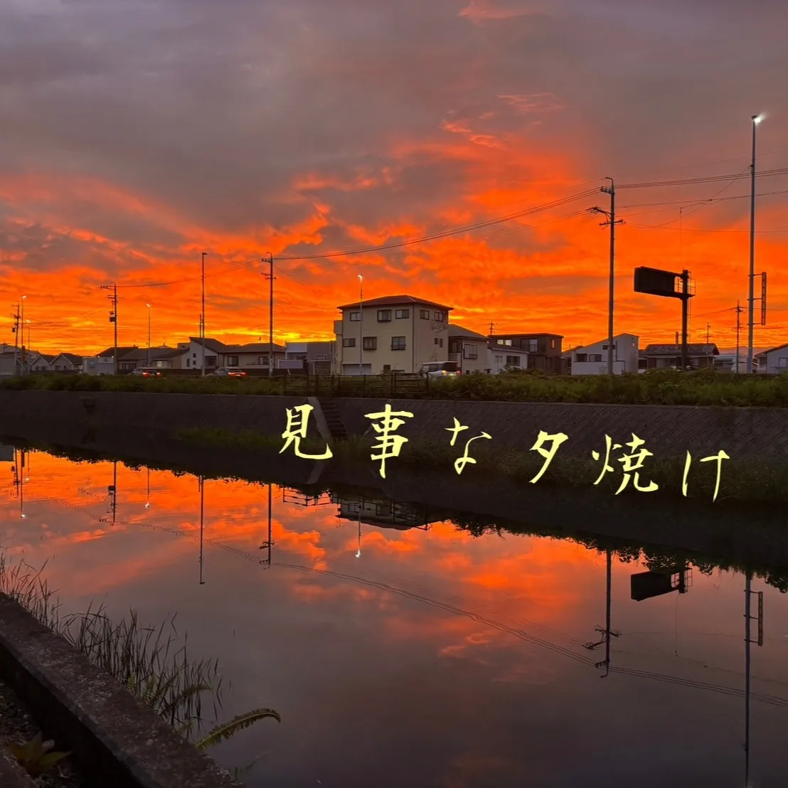 なんて素敵なサンセット！🌅 