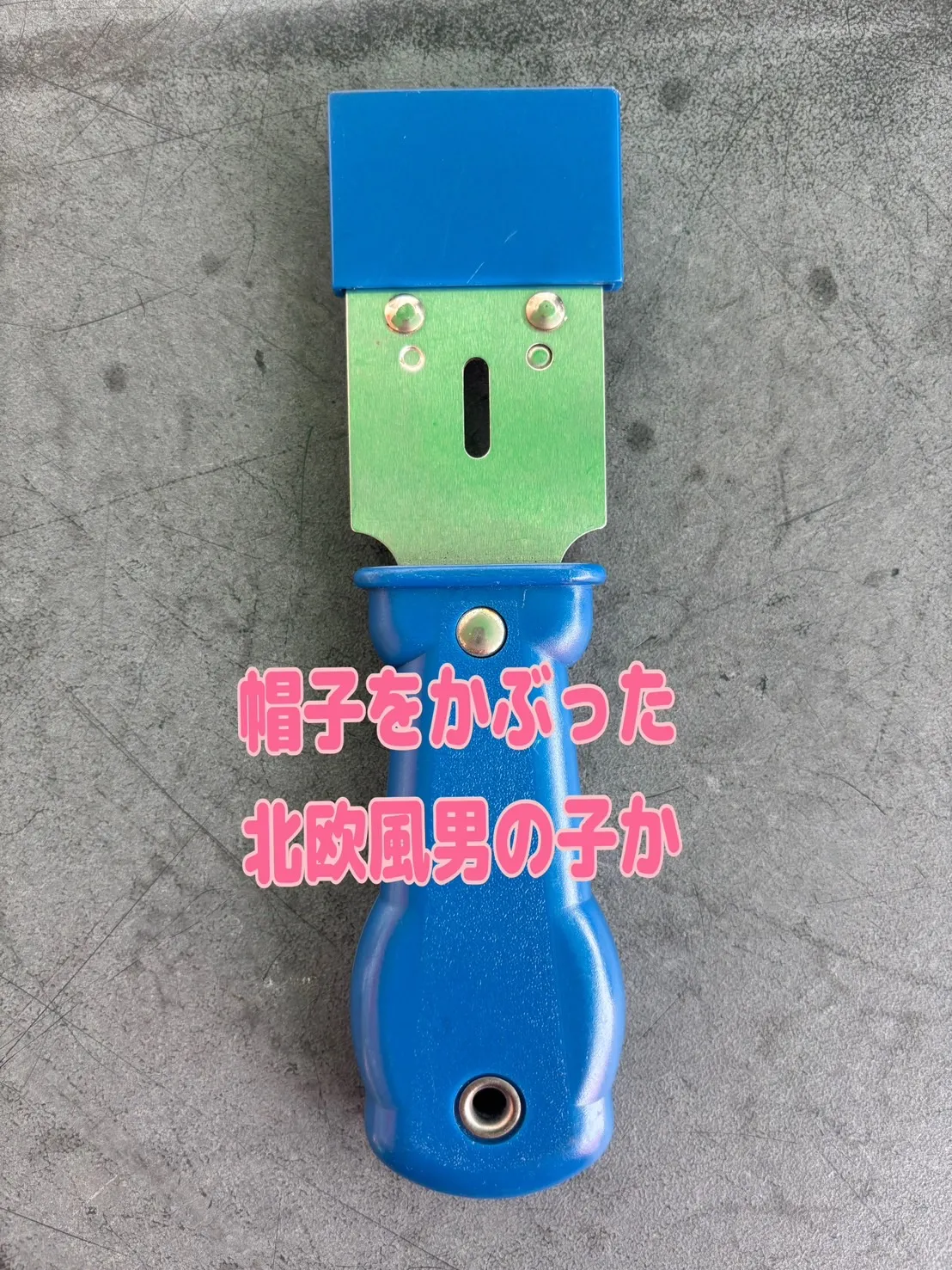 秋の芸術シリーズの新作をお届けします🍁