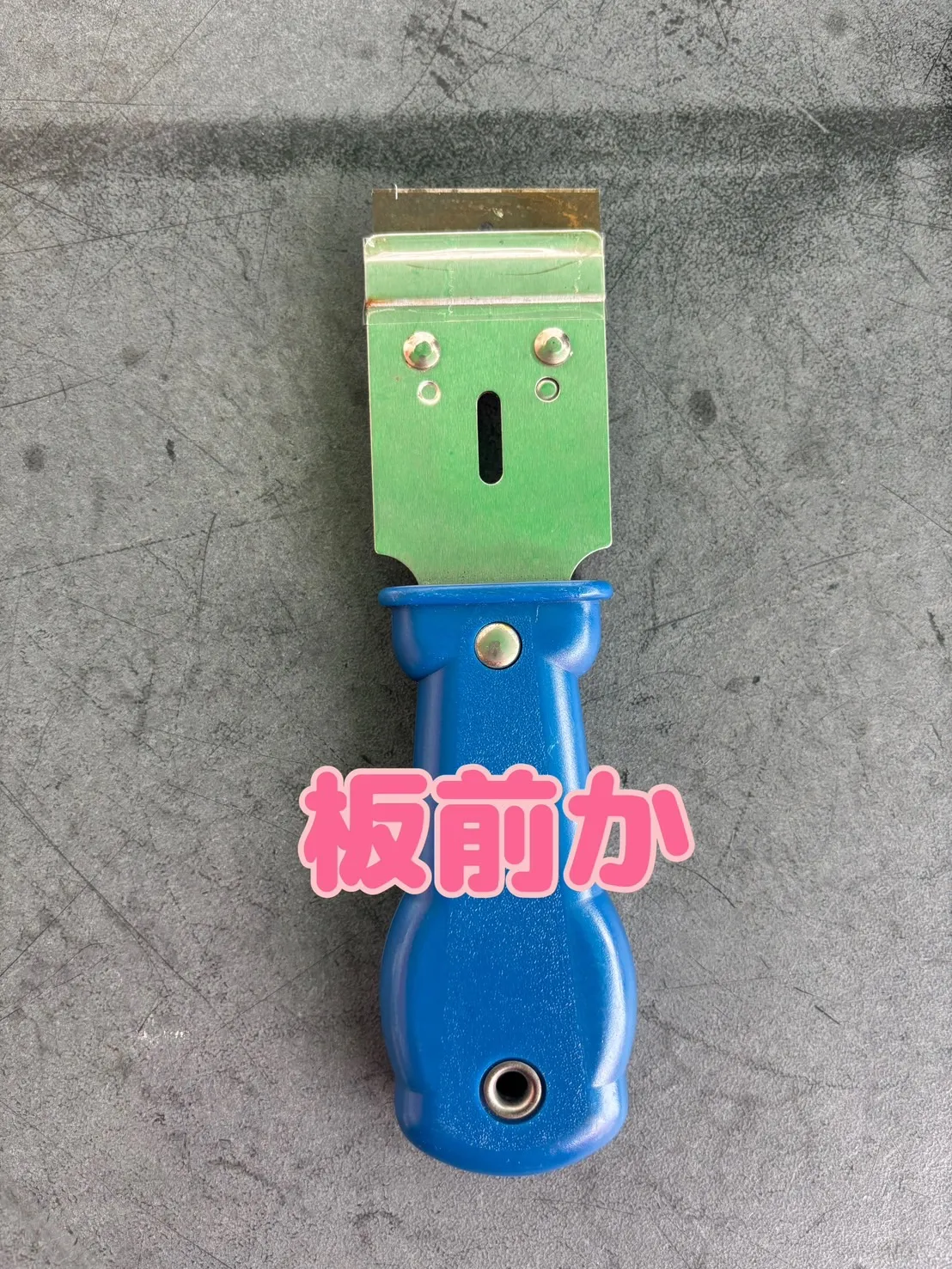 秋の芸術シリーズの新作をお届けします🍁